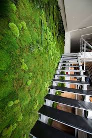Vertical Garden Moss Wall