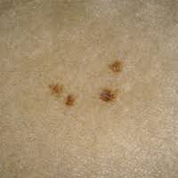 remove rust from carpet like a