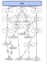 Pin By Cathy Tennant On Homeopathic Flow Charts Homeopathy