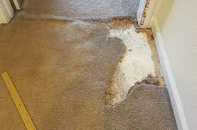 rd carpet repair reno nv 775 250