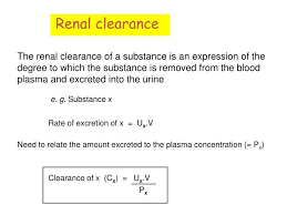 Ppt Renal Clearance Powerpoint