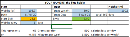 excel template weight loss template