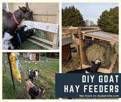 diy goat hay feeders diy danielle