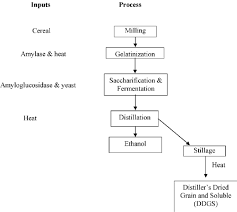 Flow Chart Of Ethanol Production From Cereal Grains