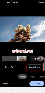 how to extract photo from video