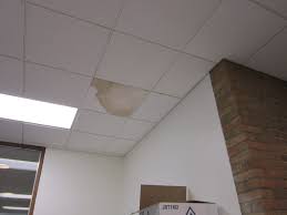 got brown spots on your ceiling causes