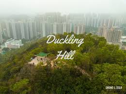 the best hikes in hong kong drone dslr