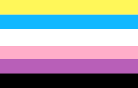 When and where is the flag flown? Nonbinaryflux Gender Wiki Fandom