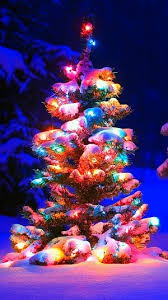 best christmas tree wallpapers for your