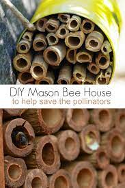 How do you make a mason bee house out of bamboo? Diy Mason Bee House To Help Save Pollinators Turning The Clock Back