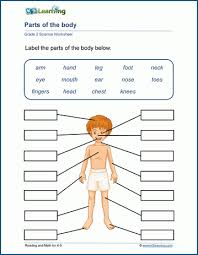 Front part of your head, where your eyes, nose. Human Body Parts Worksheets K5 Learning