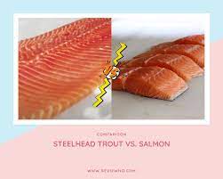 steelhead trout vs salmon nutrition