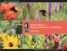 Native Plants For Native Pollinators In