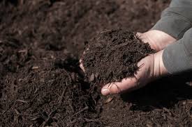 Gardening On Sandy Soil 4 Ways To