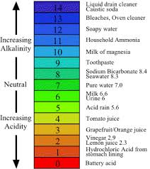 Ph Level Neutral Acidic Or Basic Derya Sunkel