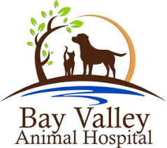 Learn more previous next 24/7 emergency pet hospital … Bay Valley Animal Hospital Veterinarian In Bay City Mi Usa Home