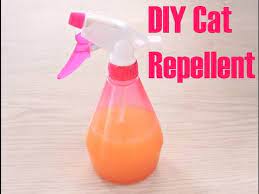 diy cat repellent you