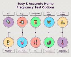 home pregnancy tests 10 best options