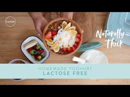 homemade lactose free yogurt in a