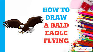 how to draw a bald eagle flying