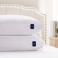 Accuratex Memory Foam Pillows For