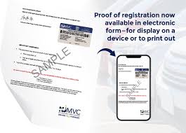 electronic vehicle registration
