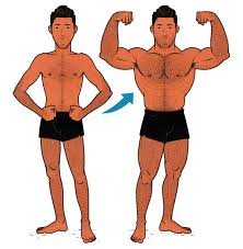 calisthenics vs weights which builds