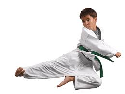 Image result for denver karate academy