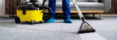 carpet cleaning jobs in inner west