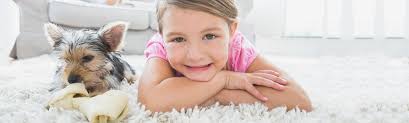 carpet cleaning rochester ny