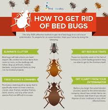 bedbugs symptoms causes treatment