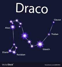 Constellation draco with stars in the night Vector Image