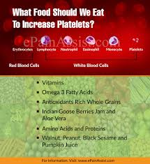 What Food Should We Eat To Increase Platelets