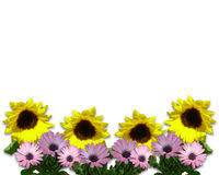 Sunflowers Border Yellow Spring Stock Illustrations 120 Sunflowers