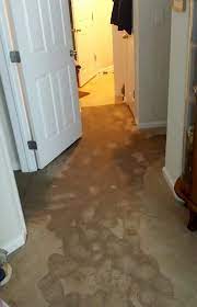 carpet water damage montgomeryville