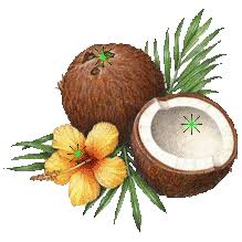 Plain coconut water could be a better choice for adults and kids looking for a beverage that is less sweet. 01 Gifgi Gif Coconut Coconut Oil Apple Cider Vinegar Benefits