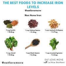Best Food To Increase Iron gambar png
