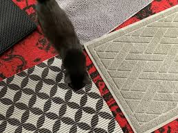 8 best cat litter mats of 2023 reviewed