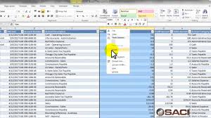 Gl Summary Trial Balance Made Easy With Excel Pivot Tables