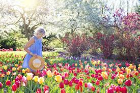 Цветята за градината са едно красиво украшение, без което повечето градинари не могат, а и любителите също. 10 Naj Krasivite Gradini V Evropa Save A Train