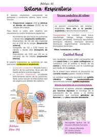 resúmenes de sistema respiratorio