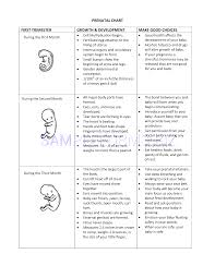Preview Pdf Prenatal Chart 3