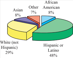 Solved Ethnic Diversit Y The Following Pie Chart Shows The
