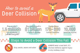 Deer are pack animals, and rarely travel alone. Preventing Deer Related Auto Accidents From Meemic