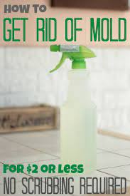 How To Get Rid Of Mold For 2 Or Less