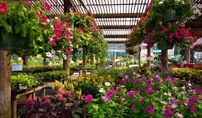 Top 12 Nurseries And Garden Centers In