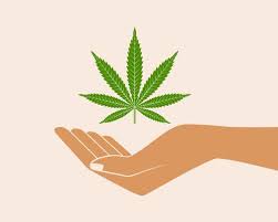 Image result for Cannabis and Conversation.