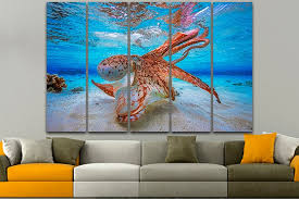 Octopus Canvas Octopus Art Gallery Wall