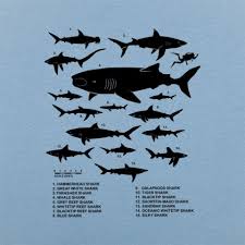 Shark Species Chart T Shirt