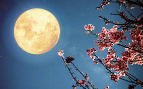 flower moon lunar eclipse